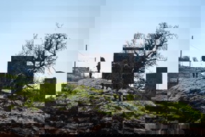 88C4f908 Efe2 4Bdc 81F4 Eaee6fd6425e