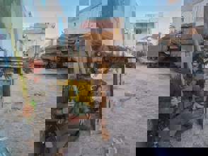 Whatsapp Image 2025 11 06 At 11.45.47