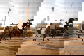 D9894969 6034 4302 B27d Ac9da3c4959f