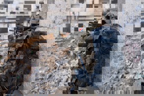6F27A196 A0E9 45E3 B9D9 5E599C26B8CF
