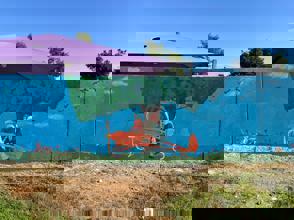 A289c0b8 Ff0e 4F36 Af0f 6128C311006a