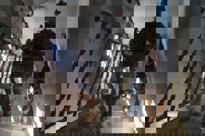 5144 13 Copy 1
