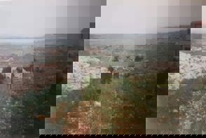 Whatsapp Image 2021 06 10 At 10.48.51 (2)