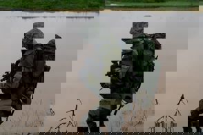 Whatsapp Image 2024 11 03 At 08.01.20