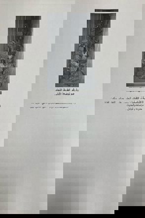 Whatsapp Image 2025 05 14 At 17.54.30 (5)