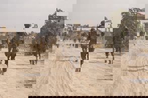 2F87761f Bbc2 4497 Ac12 C926f50f9a95 (1)