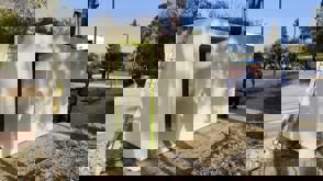 Whatsapp Image 2025 01 12 At 12.15.30