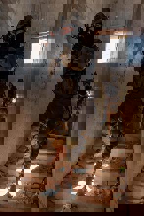 5B6f6dee 15Ac 4031 Ad12 5E8ced734e0a