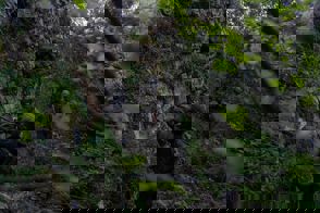 04962781 99Bd 4199 9A74 5Ab985860fcd