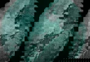 5064S (7) (1)