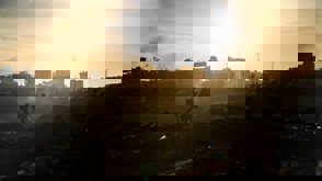 2875 (11) 4