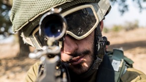 Palsar73