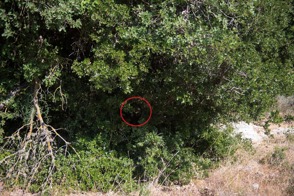 Whatsapp Image 2017 07 25 At 164630