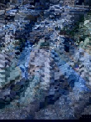 B336eda1 6183 4016 8Cc6 8Daf7686a4e4