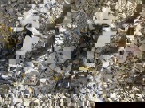 Whatsapp Image 2024 12 19 At 23.17.03