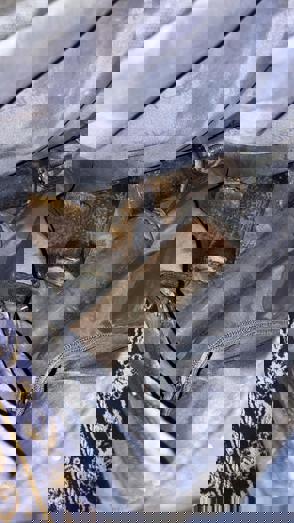 1Da1184b 66Ad 453C 8Cb3 4Dc51fcd79c3