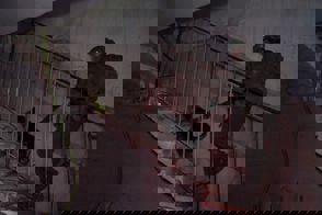 39Bfa7de 7357 4F1c B2dc 1C103f6f34c1