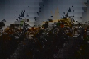 37E6580a Eb71 4Bd5 Bfa9 Faf74364ca0a