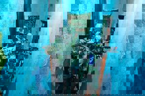 79Ac2fd8 Ff98 488B B433 64Ac9c6f963c
