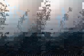 40251D43 13D1 417C Bf54 23E8da5f86d7