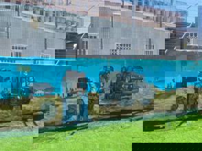 8249Ca0d Ef2f 4A14 B91d 9293Fe28c5a6