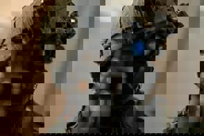 0B299ce0 99A1 4De9 A543 Afd3f619b4c7