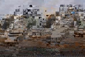 Caf5b7d1 4E69 4E29 B6f1 7Dfbfed216ed