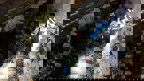 Whatsapp Image 2025 11 16 At 14.42.45 (1)