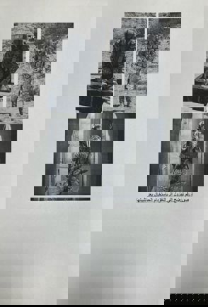 Whatsapp Image 2025 05 14 At 17.54.28