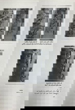 Whatsapp Image 2025 05 14 At 18.01.46 (1)