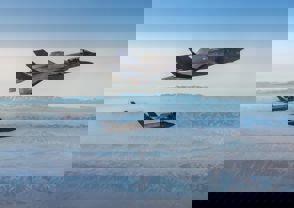 49Abdb71 2B46 4A9b Ab22 76D976cf8bef