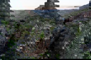 Cf6111d5 8595 47Ab 8168 Dde3e2b95641