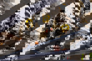 Bbe740ee 9B76 4605 97F3 B6957c991298