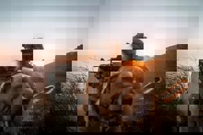 D755cf13 9C1e 4058 8Ad3 6F074a428e22