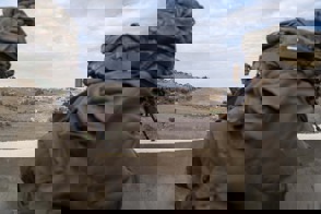 60D0a5c5 F2fd 489A 9C17 C9185cd25dc6