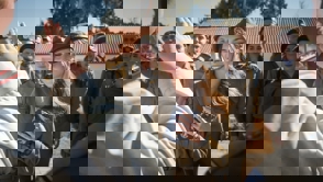069C5075 3769 43Ce 90F3 Cd018a982fe9