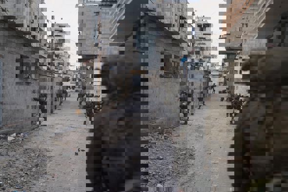 VidĂ©o sur l’unitĂ© Magellan Ă l’ouest de Khan Yunis avec un chien Oketz qui a aidĂ© Ă l’Ă©limination d’un terroriste VidĂ©o sur l’unitĂ© Magellan Ă l’ouest de Khan Yunis avec un chien Oketz qui a aidĂ© Ă l’Ă©limination d’un terroriste - Infos-Israel.News