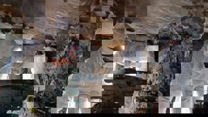 47A8e61d D917 4D58 9Dd4 D8acea5d6046