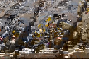 7B6c5256 8Cae 4F1c 87F4 70Fd4e93caab (2)