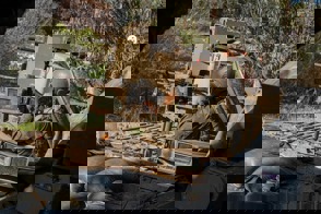 A6b7bb15 86Df 428A A453 2960Ab2a6405 0