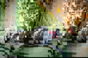 F2164aa4 7D34 47Ad A629 75A24be6c00b