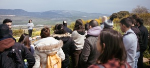 IMG 8941 (2)