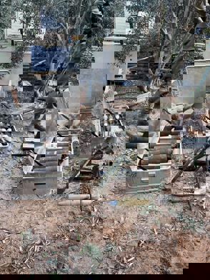 C30df56b 66B8 46Bd A7f3 5Df3cb098a5e 0