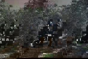 07414Af2 7F5e 461B 8269 4D16d3f88cb1