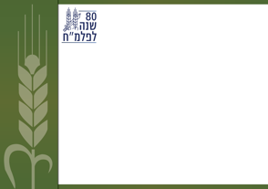 הזמנה כולל לוגו