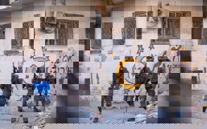 C7b2d889 B584 40C4 A3b0 F6e70e7c4fde