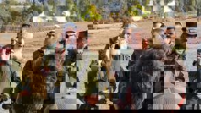 629Ab221 F37d 4767 B18c De6ddd98e377