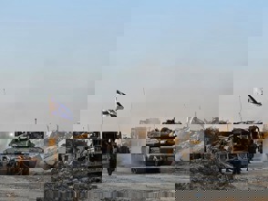 Acff1a49 D516 45D6 999A 49D9bcaa3b8c