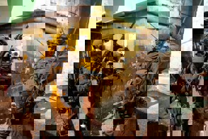 98B7238d 6585 4Ce7 Aac4 C7786cb7ead0
