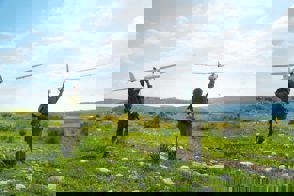 15094880 1324379924252176 6567878522577621876 N
